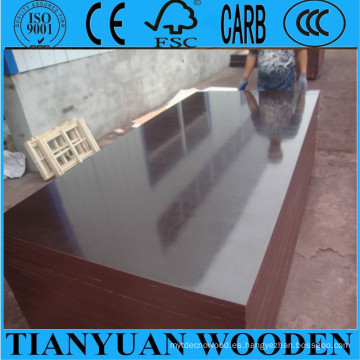 Shttering Plywood / Film Faced Plywood / Construction Plywood